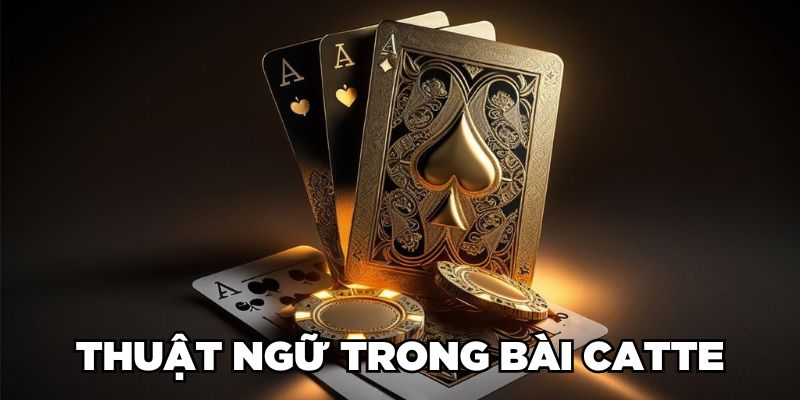 Thuật ngữ trong bài Catte