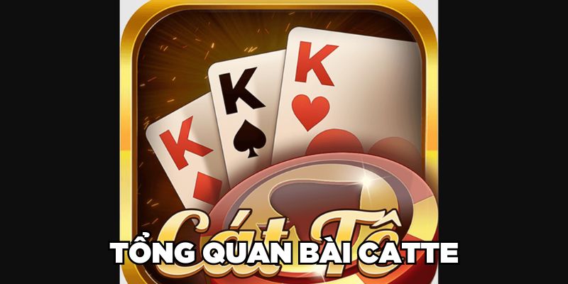 Tổng quan về bài Catte